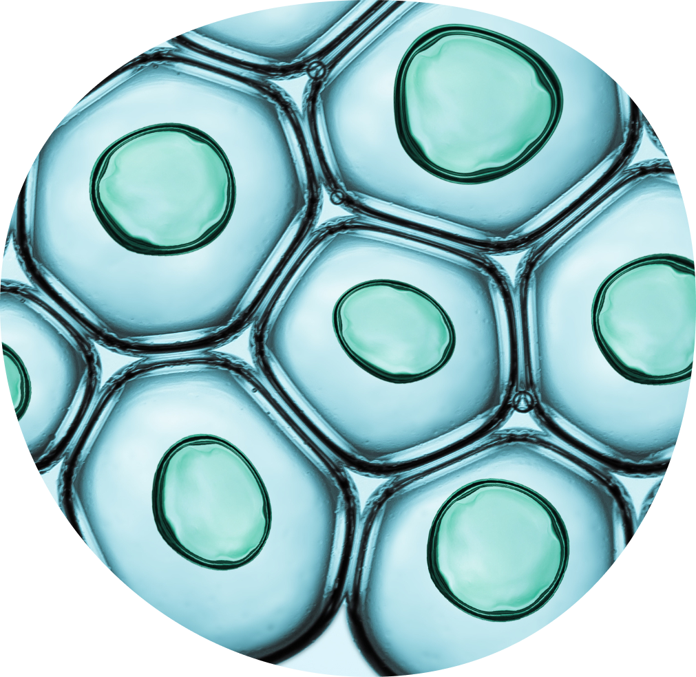 Diminished ovarian reserve